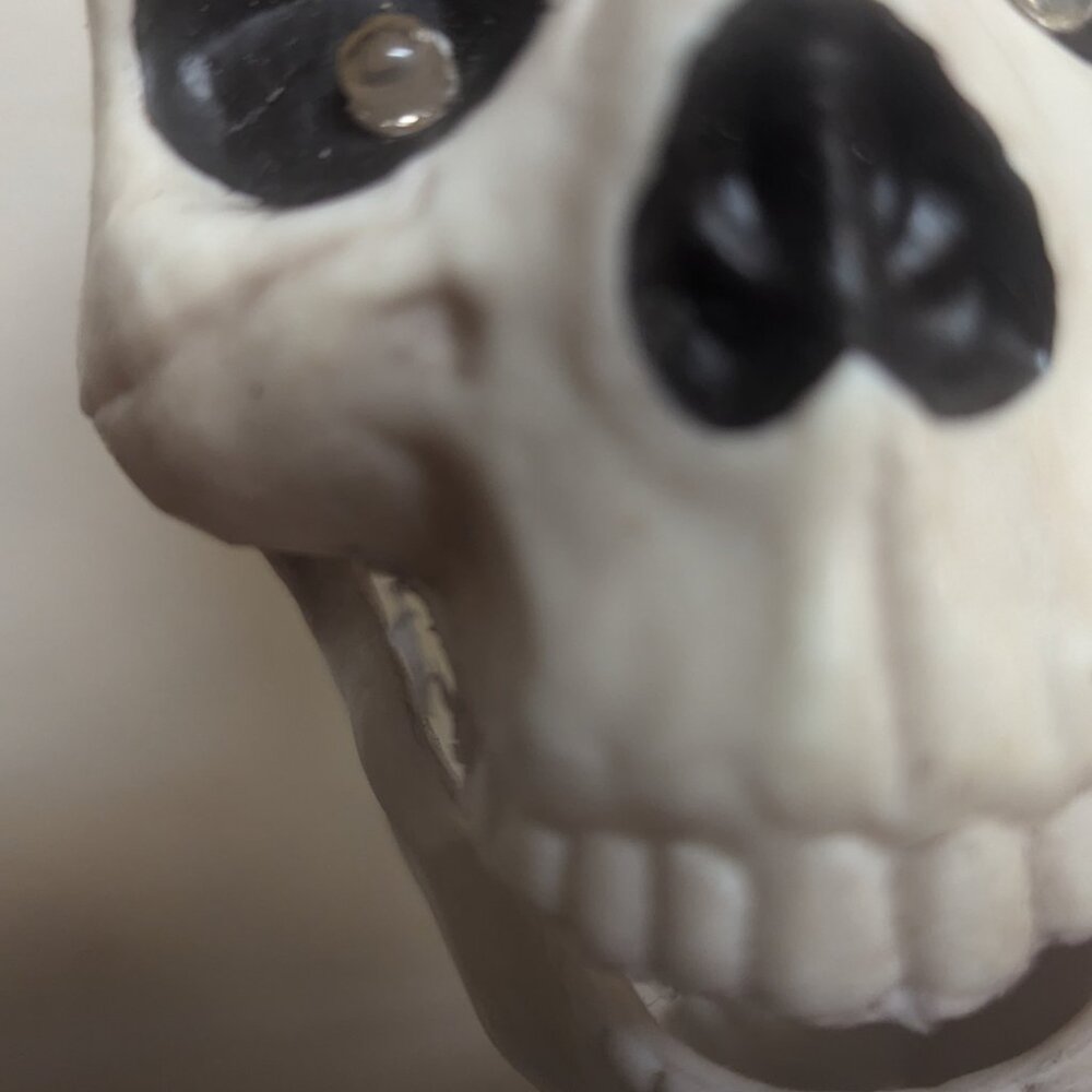 Skeleton - Picture 2 of 4